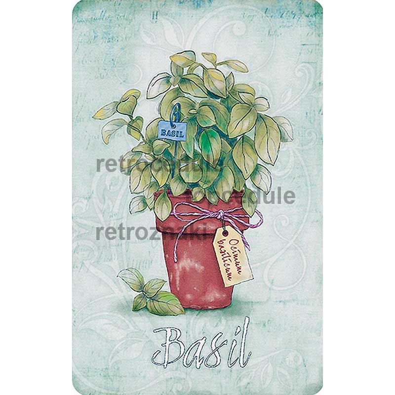 Cedule Bazalka - Basil