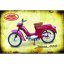 Cedule Jawa 555