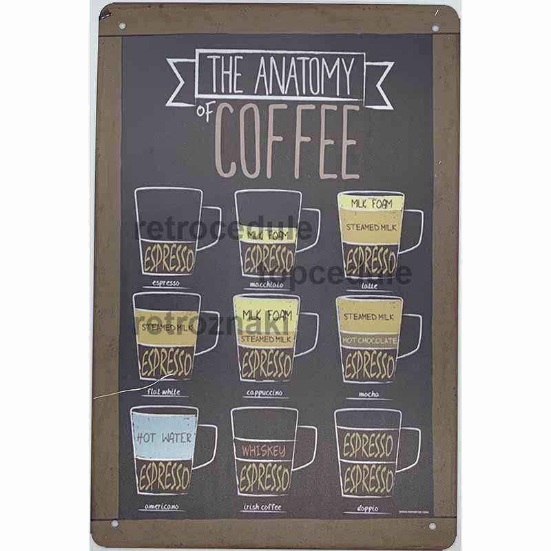 Cedule The Anatomy Caffee