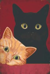 Ceduľa Cats Ceduľa Cats