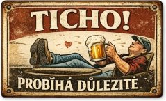 Plechová ceduľa Ticho! Probíhá dulezité