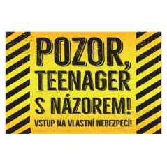 Cedule Pozor, Teenager s názorem!