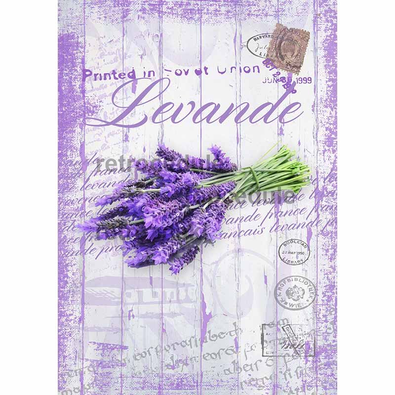 Cedule Levandule - Levande