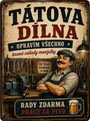 Plechová cedule Pivo nevyřeší problémy. Ani voda.