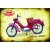 Ceduľa Jawa 555