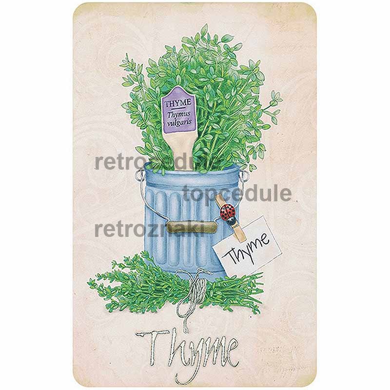 Jel Kakukkfű - kakukkfű kert