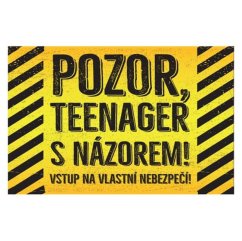 Ceduľa Pozor, teenager s názorem!