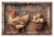 Cedule Chicken eggs