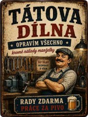 Plechová cedule Pivo nevyřeší problémy. Ani voda.