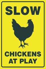 Cedule Slow - Chickens At Play