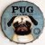 Vrchnák Pug Coffee CO.