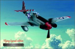 Cedule Letadlo North American P-51 D Mustang
