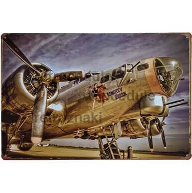 Hadsereg repülőgép jele