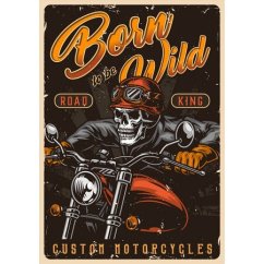 Ceduľa Motorcycles - Born To be Wild
