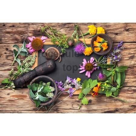 Gyógynövények Vintage jel