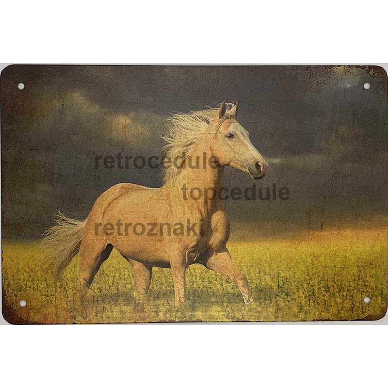 Konjski znak Konjski znak