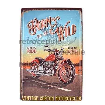Cedule Born To Be Wild Cedule Born To Be Wild