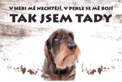 Plechová cedule v nebi me nechtejí, v pekle se me bojí