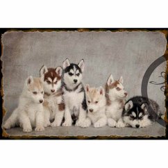 Cedule Pejsky Cedule Pejsky