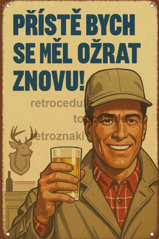 Plechová ceduľa Přístě bych se měl ožrat znovu!