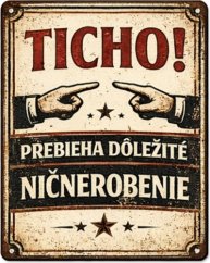 Plechová cedule Ticho! prebieha Dôležité Ničnerobenie