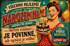 Plechová cedule Všechno nejlepší k narozeninám! Užívej si život