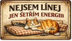Plechová ceduľa Nejdem línej - jen šetřím energii