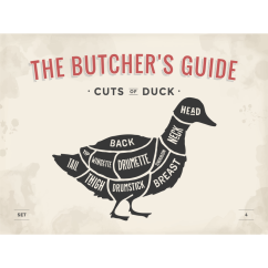 Podpišite The Butchers Guide - Cuts of Duck