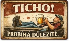 Plechová ceduľa Ticho! Probíhá dulezité