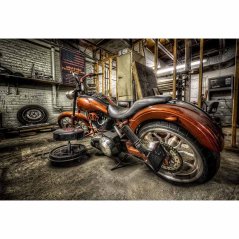 r095 motorka v garazi